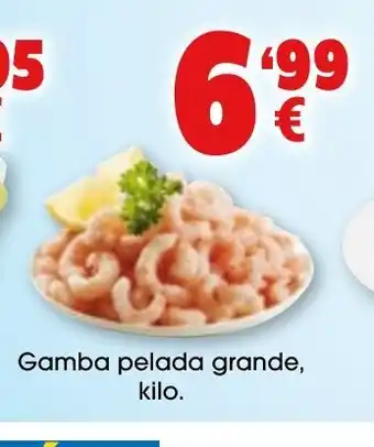 TOP Cash & Carry Gamba pelada grande oferta