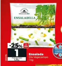 Dia DIA VEGECAMPO Ensalada oferta