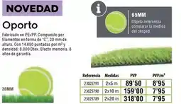 Ferrcash Oporto oferta