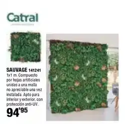 Ferrcash Catral - sauvage oferta