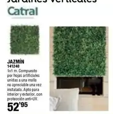 Ferrcash Jazmín oferta
