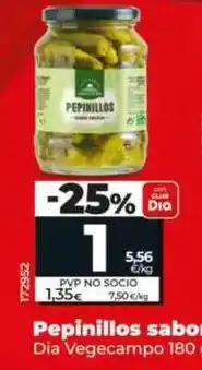 Dia Dia vegecampo - pepinillos sabor anchoa oferta