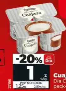Dia Dia caprichoso - cuajada oferta