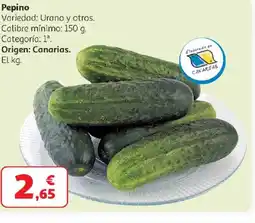 Alcampo Pepino oferta