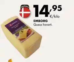Supermercados Lupa EMBORG Queso havarti oferta