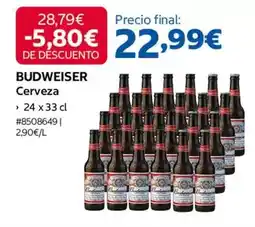Costco Budweiser - cerveza oferta