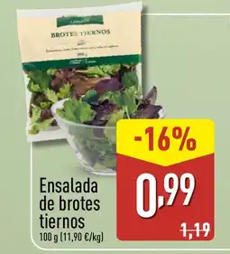 ALDI Ensalada de brotes tiernos oferta