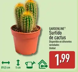 ALDI GARDENLINE Surtido de cactus oferta