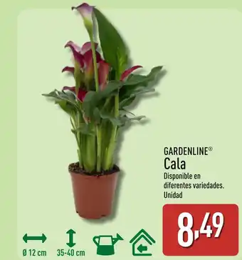 ALDI GARDENLINE Cala oferta