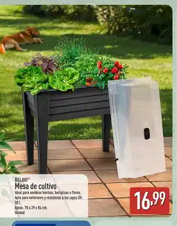 ALDI BELAVI Mesa de cultivo oferta