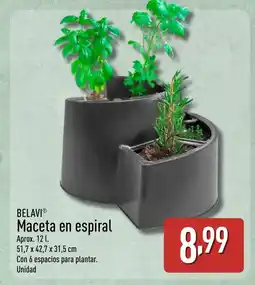 ALDI BELAVI Maceta en espiral oferta