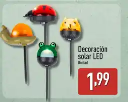 ALDI Decoración solar LED oferta