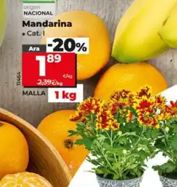 Dia Mandarina oferta