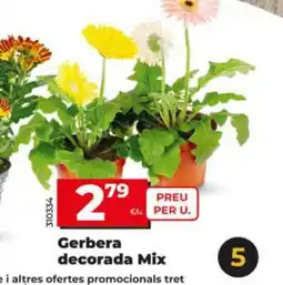 Dia Gerbera decorada Mix oferta