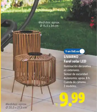 Lidl LIVARNO Farol solar LED oferta
