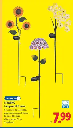 Lidl LIVARNO Lámpara LED solar oferta