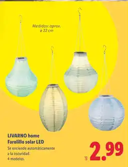 Lidl LIVARNO home Farolillo solar LED oferta