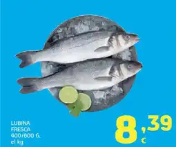 HiperDino Lubina fresca oferta