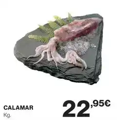 Hipercor Calamar oferta