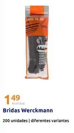 Action WERCKMANN Bridas oferta