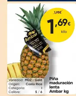 FROIZ Piña maduración lenta Ambar oferta