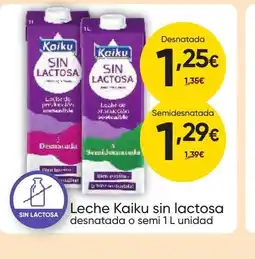 FROIZ KAIKU Leche sin lactosa oferta