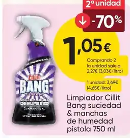 FROIZ Limpiador suciedad & manchas de humedad pistola oferta