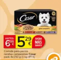 Consum Cesar - comida para perros recetas campesinas oferta