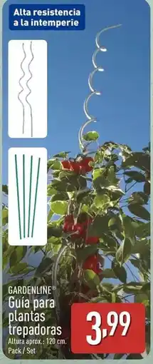ALDI Gardenline - guaia para plantas trepadoras oferta