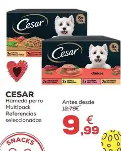 Kiwoko Cesar - humedo perro multipack oferta