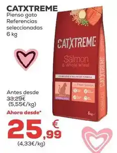 Kiwoko Catxtreme - pienso gato oferta