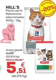 Kiwoko Hill's - pienso perro oferta