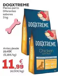 Dogxtreme - pienso perro