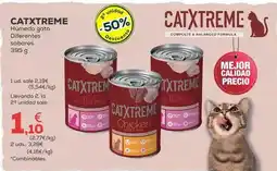 Kiwoko Catxtreme - humedo gato oferta