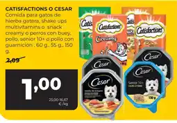 Alimerka CATISFACTIONS O CESAR Comida para gatos de hierba gatera, shake ups multivitamins o snack creamy o perros con buey oferta
