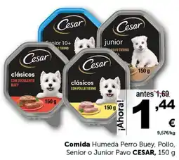 Masymas CESAR Comida Humeda Perro Buey, Pollo, Senior o Junior Pavo oferta