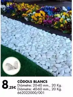 Fes Més Códols blancs oferta