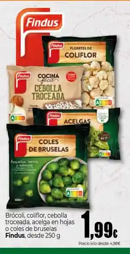 Unide Market FINDUS Brócoli, coliflor, cebolla troceada, acelga en hojas o coles de bruselas oferta