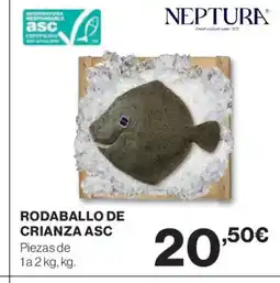 El Corte Inglés Rodaballo de crianza asc oferta