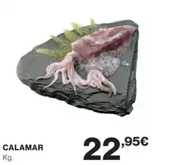 El Corte Inglés Calamar oferta