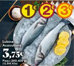 Gadis Lubina Acuicultura oferta