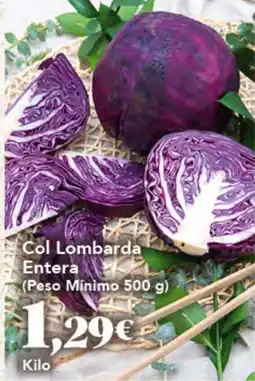 Gadis Col Lombarda Entera oferta