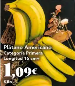 Gadis Plátano Americano oferta