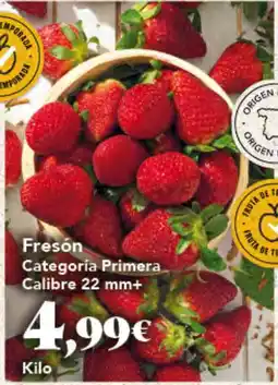 Gadis Fresón oferta
