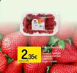 Dialprix Fresón bandeja oferta