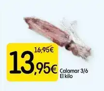 Dialprix Calamar 3/6 oferta