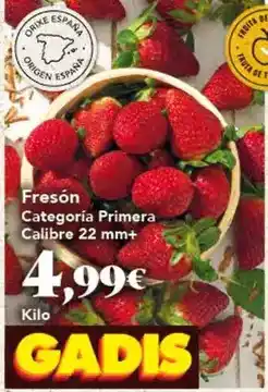 Gadis Prima - fresón oferta