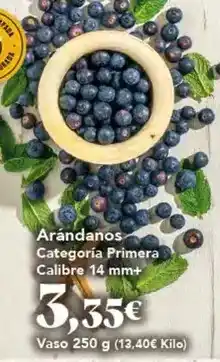 Gadis Arandanos categoría primera calibre 14mm+ oferta
