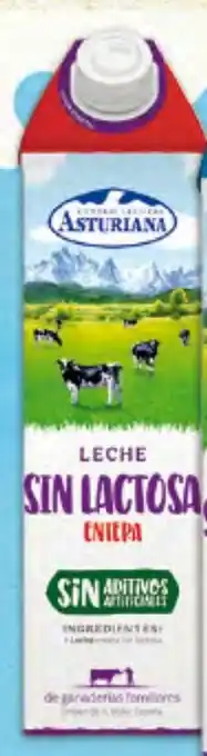 Gadis C.L. ASTURIANA Leche sin Lactosa Entera oferta