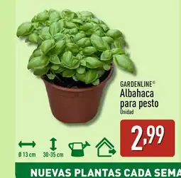 ALDI GARDENLINE Albahaca para pesto oferta